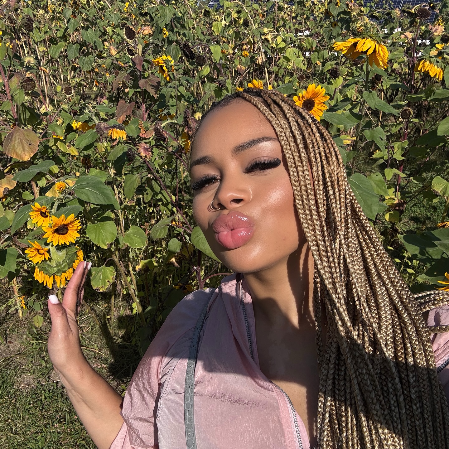 King Chrissy sunflowers